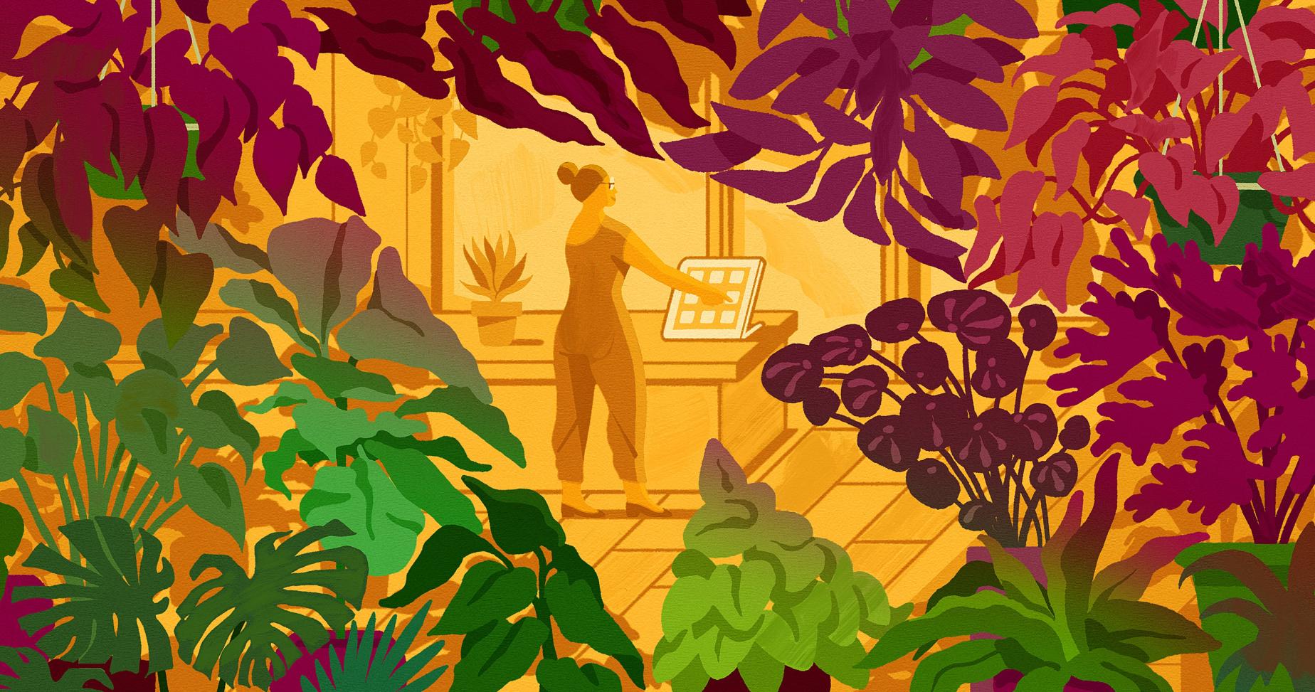 Guia completo para vender plantas online