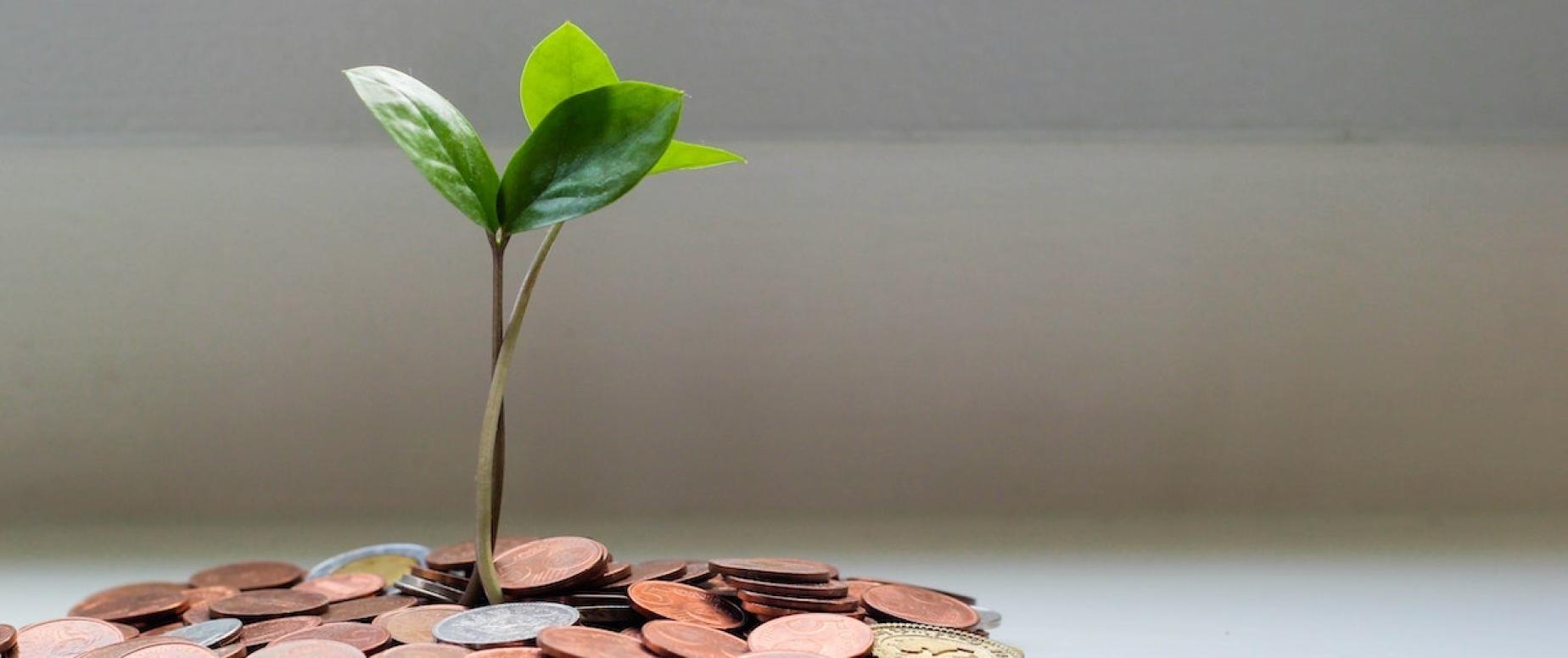 Gestão de fluxos de caixa: o que é e como fazer (+ exemplos)