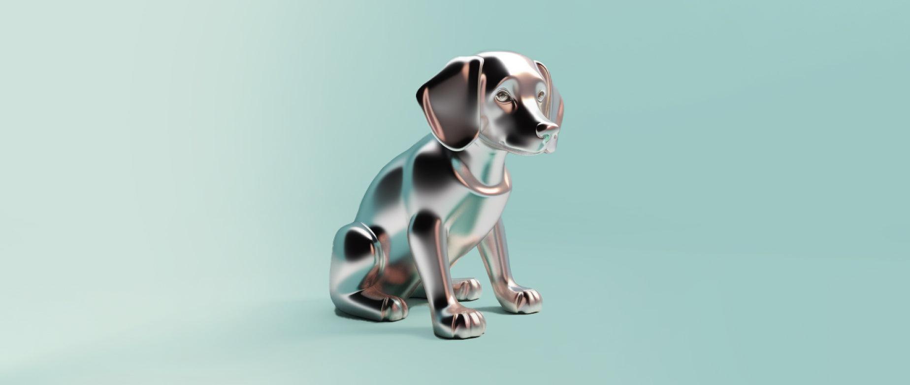 Como abrir um pet shop em 9 passos